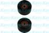 KAVO PARTS DIP-6503 Deflection/Guide Pulley, v-ribbed belt